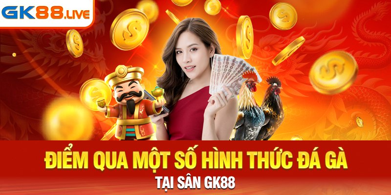 Điểm qua một số hình thức đá gà trực tiếp được ưa chuộng hiện nay