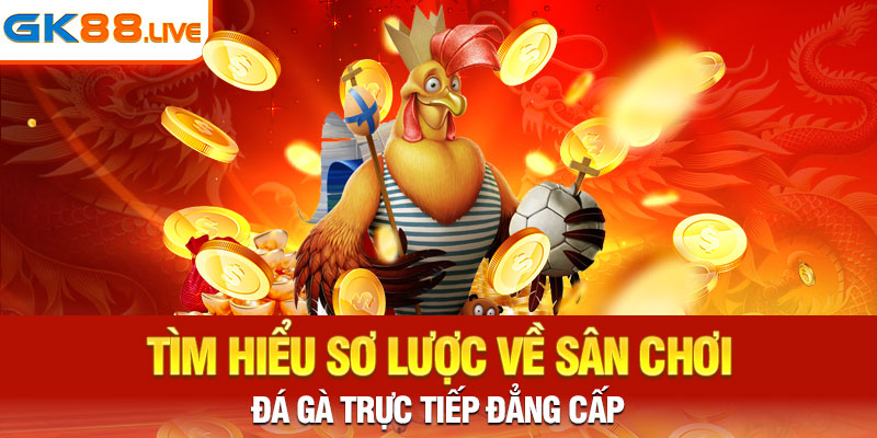 Tìm hiểu sơ lược về sân chơi đá gà trực tiếp đẳng cấp 