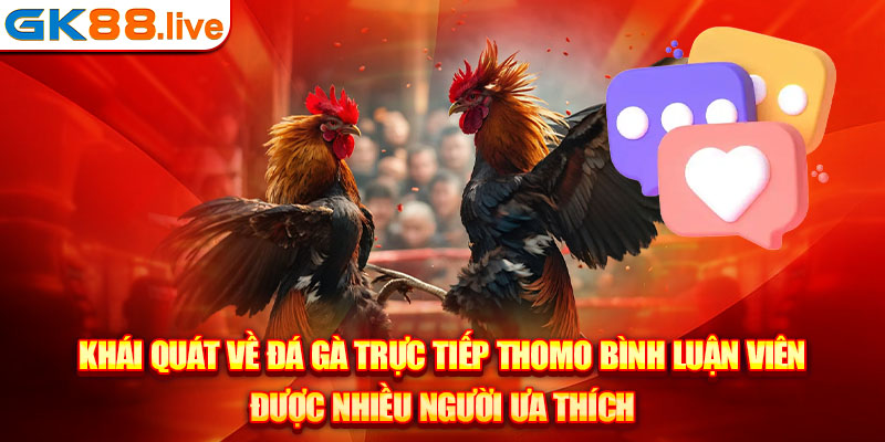 Khái quát về đá gà trực tiếp Thomo bình luận viên được nhiều người ưa thích