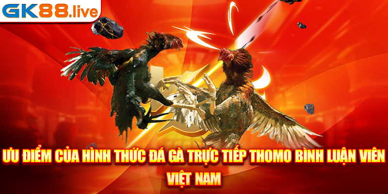 Ưu điểm của hình thức đá gà trực tiếp thomo bình luận viên Việt Nam