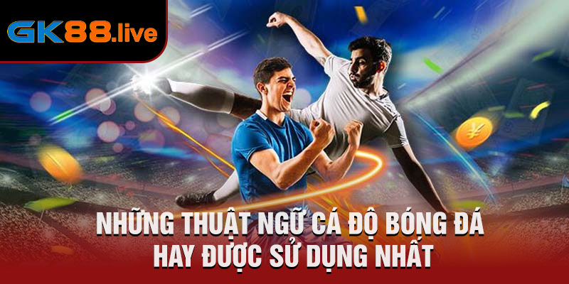 Những thuật ngữ cá độ bóng đá hay được sử dụng nhất