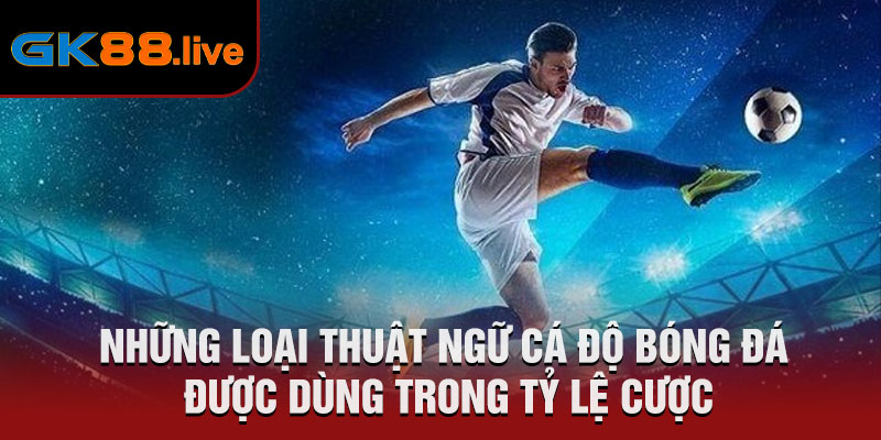 Những loại thuật ngữ cá độ bóng đá được dùng trong tỷ lệ cược